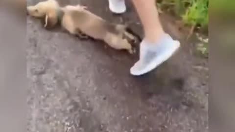 Take a few steps and get down on the ground