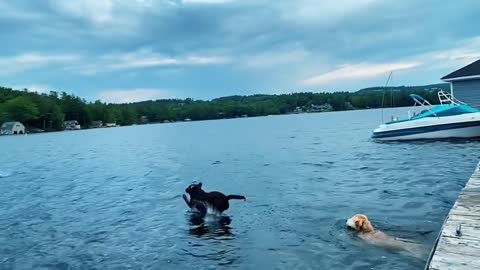 Every time they swim, they jump farther than who