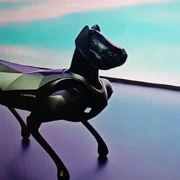 Lousy robot show with Boston Dynamics Dogs in China?