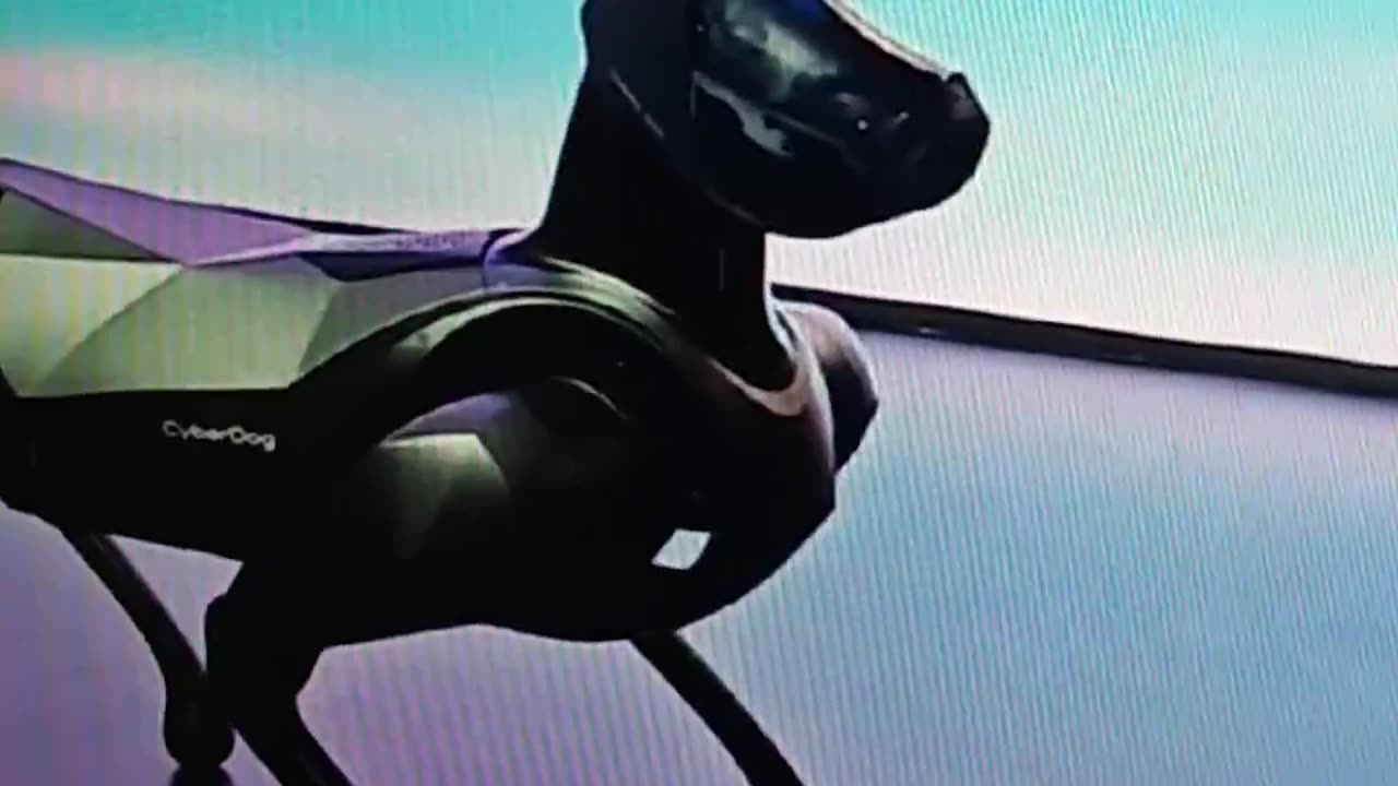 Lousy robot show with Boston Dynamics Dogs in China?