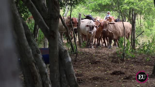 La paz que se construye en El Espiritano