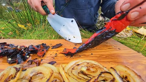 Cooking STEAK on HOT STONES over Fire | ASMR Outdoor Campfire Cooking