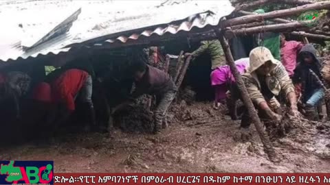 መስከረም 10፣ 2024 ONM-ABO እለታዊ የኦሮሞ ነፃነት ሰራዊትና የኦሮሚያ ውሎ!