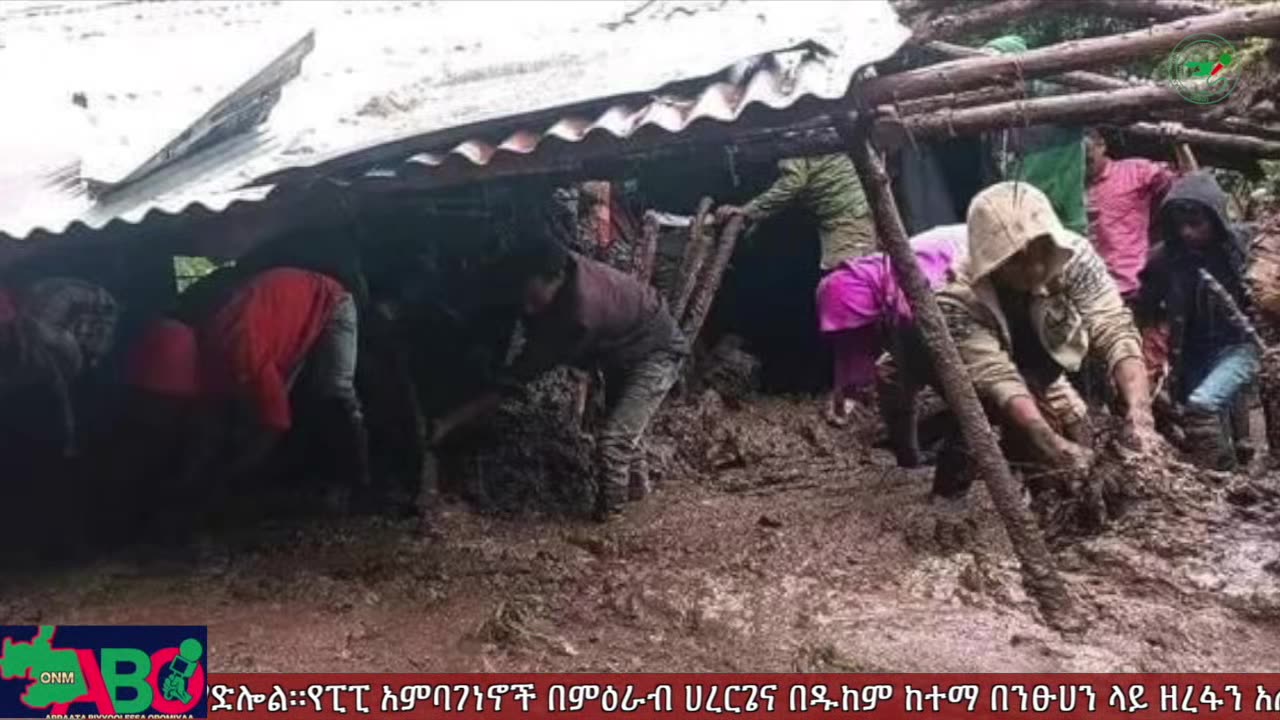 መስከረም 10፣ 2024 ONM-ABO እለታዊ የኦሮሞ ነፃነት ሰራዊትና የኦሮሚያ ውሎ!