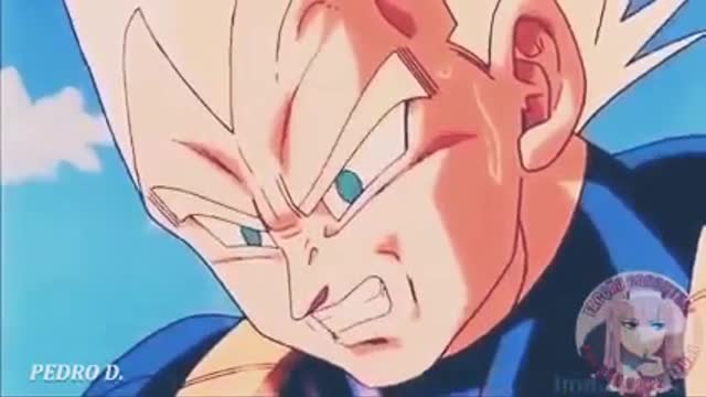 VEGETA EVANGÉLICO