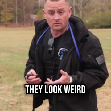 My Least Favorite Thing About the German Shepherd