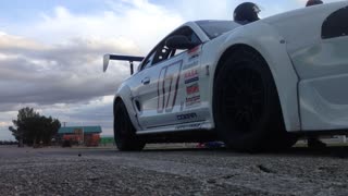 American Iron Mustang Cobra