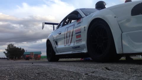 American Iron Mustang Cobra