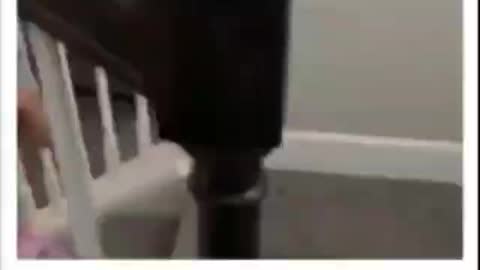 Daddy Called Me A Democrat!