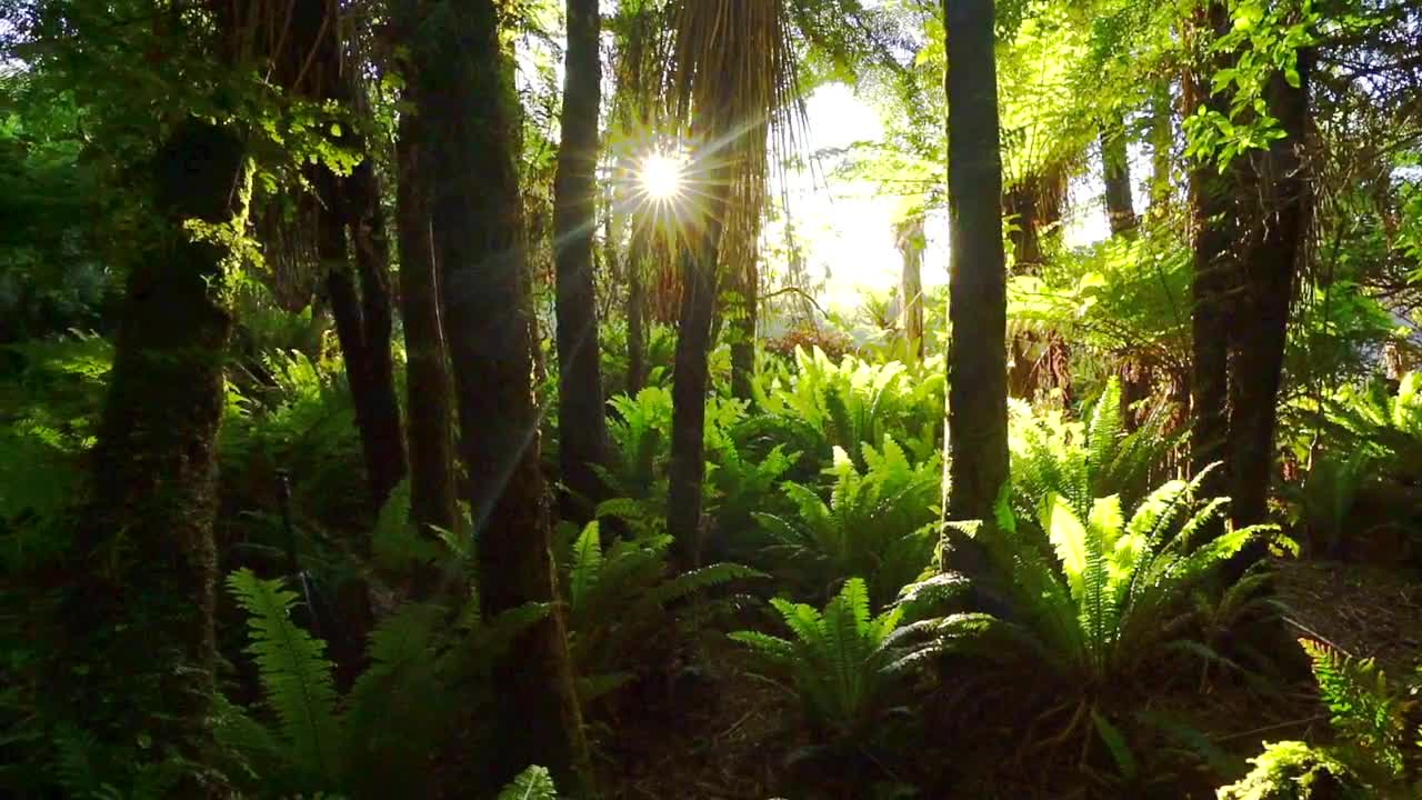 Amazing New Zealand Landscapes _ Fiordland