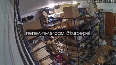 🫠 Russian soldiers are looting Wildberries warehouse in Zvannoe, Kursk Region