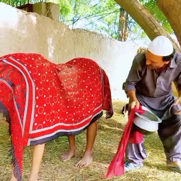 Bukri ko chona na mumkin