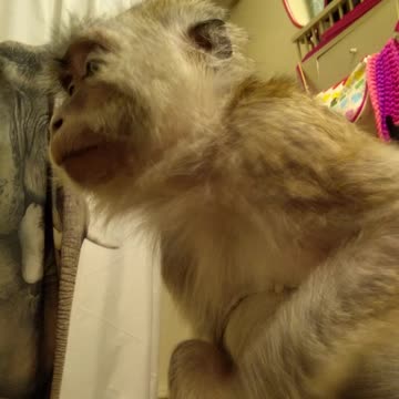 The moment you realize you are on camera