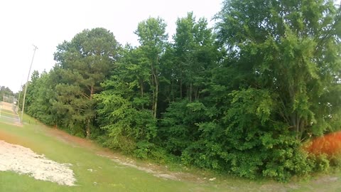 Back Yard 1.1