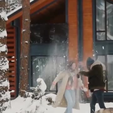 Los perros: nuestros compañeros incondicionales