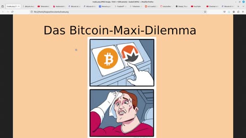 Das Bitcoin-Maxi Dilemma. Rabattaktion durch Kursschwankung