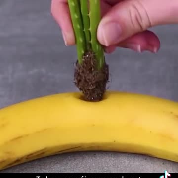 How to never need to buy food again