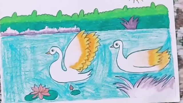 Swan swimming in water scenery # like # share # subscribe