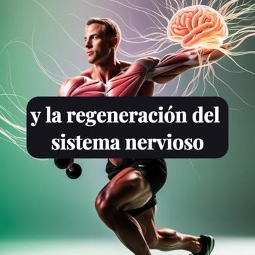 ejercitar los músculos las neuronas se desarrollan