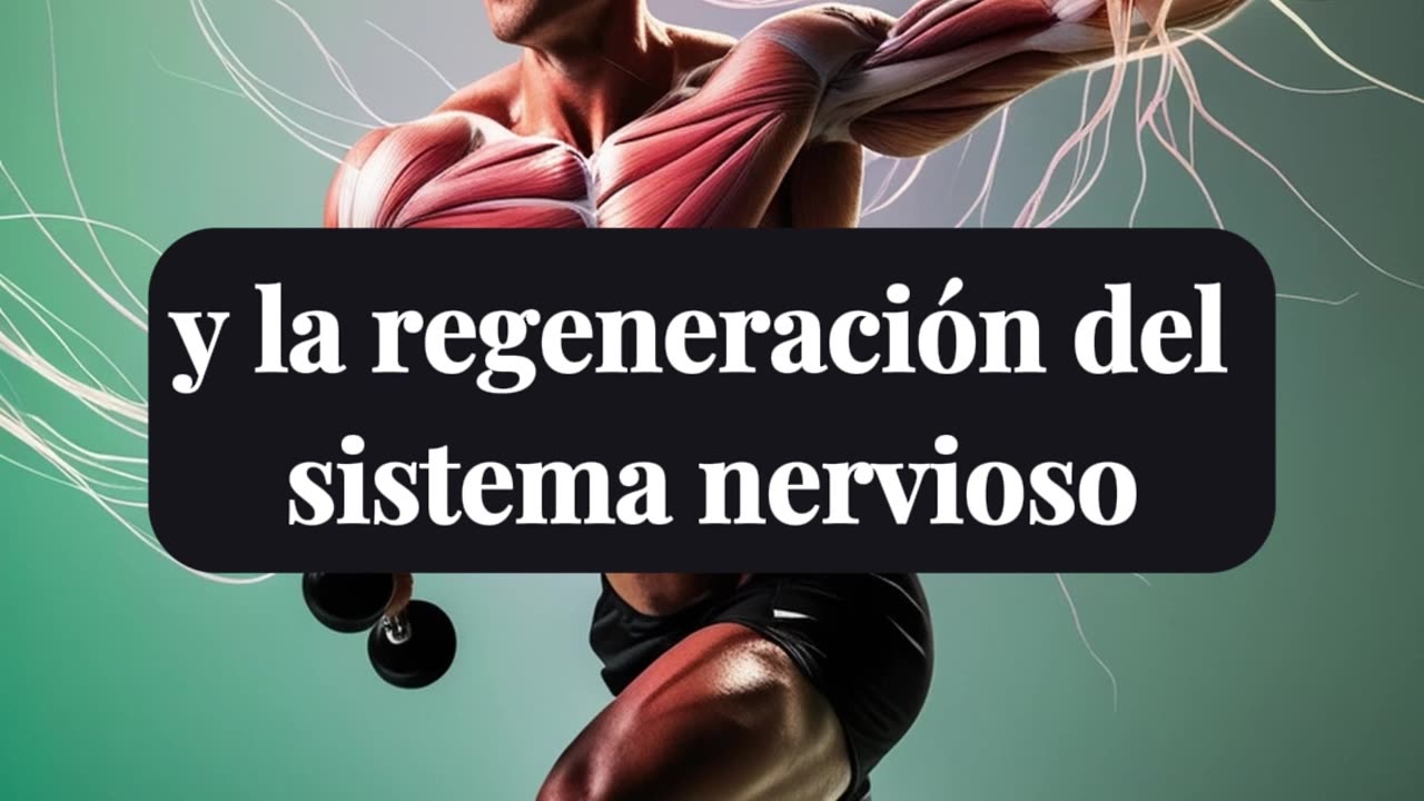 ejercitar los músculos las neuronas se desarrollan