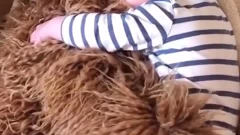 When teddy cuddle activated in life