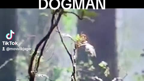 LAST OF THE DOGMAN