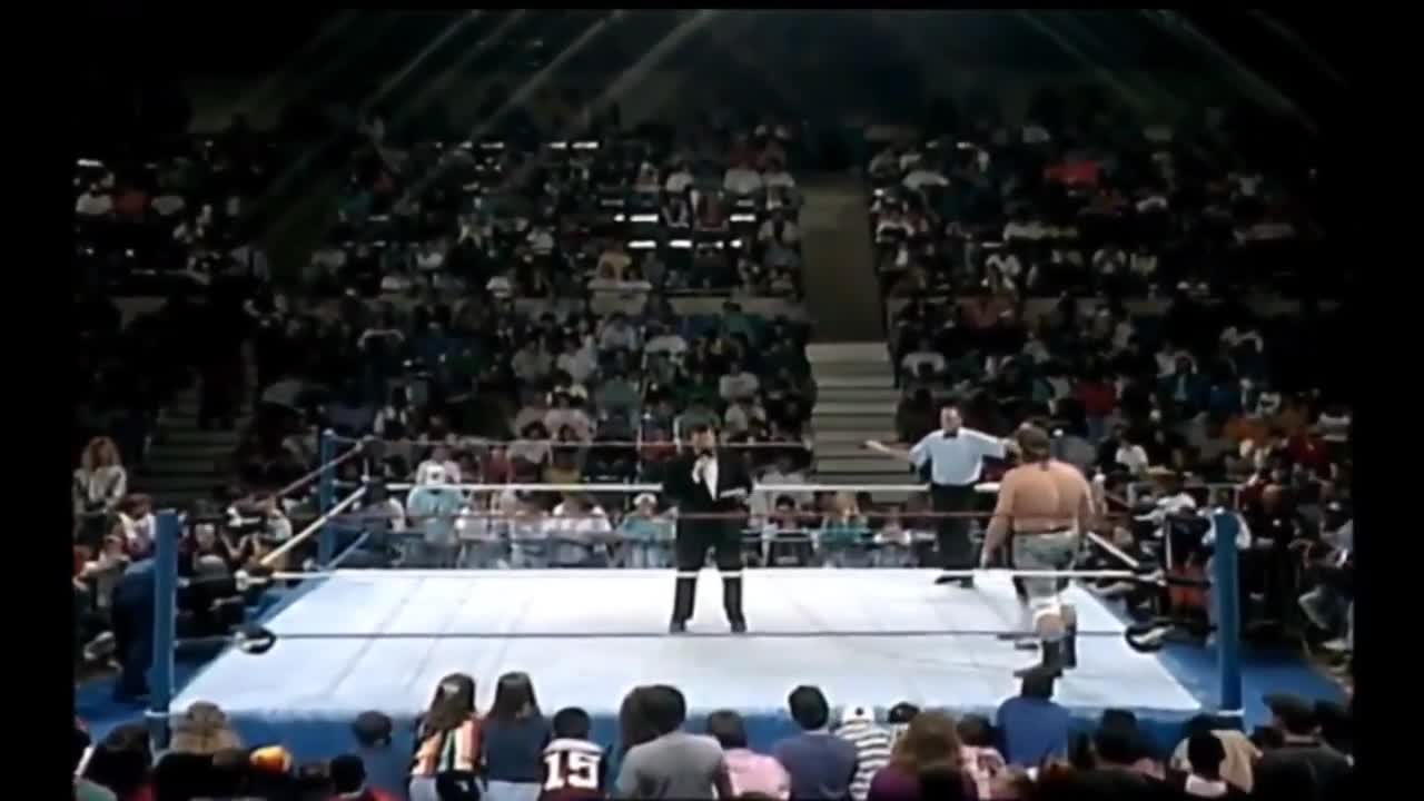"The Toxic Turtles" (WWF 1993)