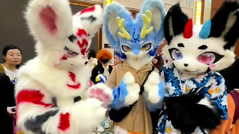 Furry Douyin #29