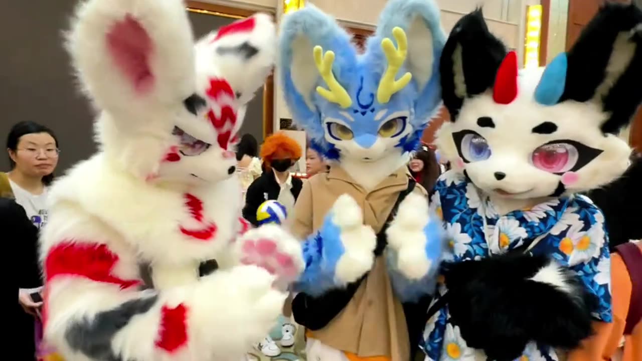 Furry Douyin #29