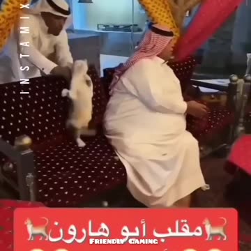 The End Funny Videos