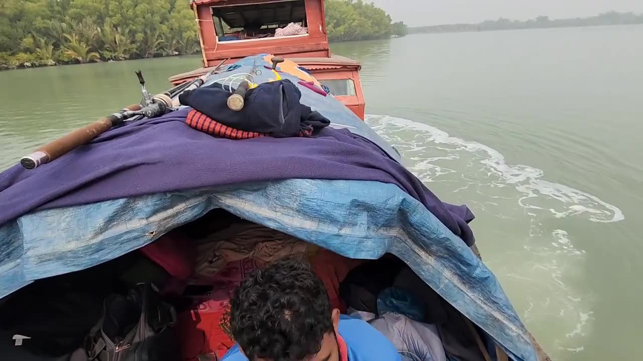 Jungle life of Sundarbans. In the light of hope, the char of Dubla.