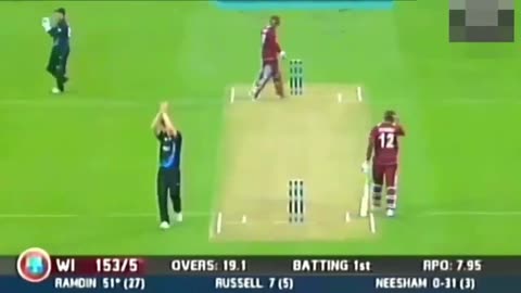 Cricket shorts funny
