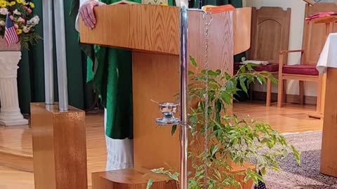 Homily for the 24th Sunday in Ordinary Time "A"