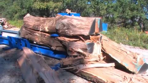 New wood processing equipment