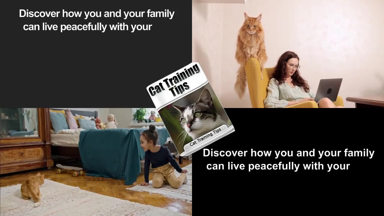 Train your cats with our PDF books