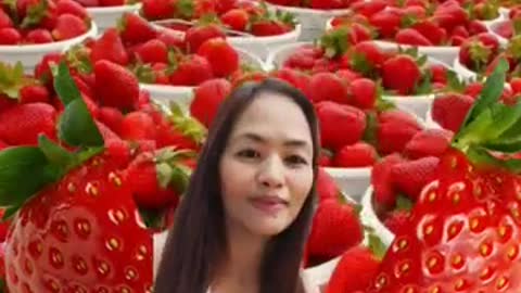 strawberry farm