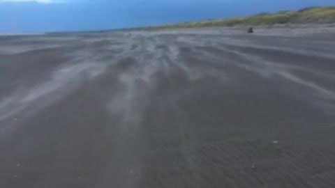 EXCUSES EXCUSES EXCUSES