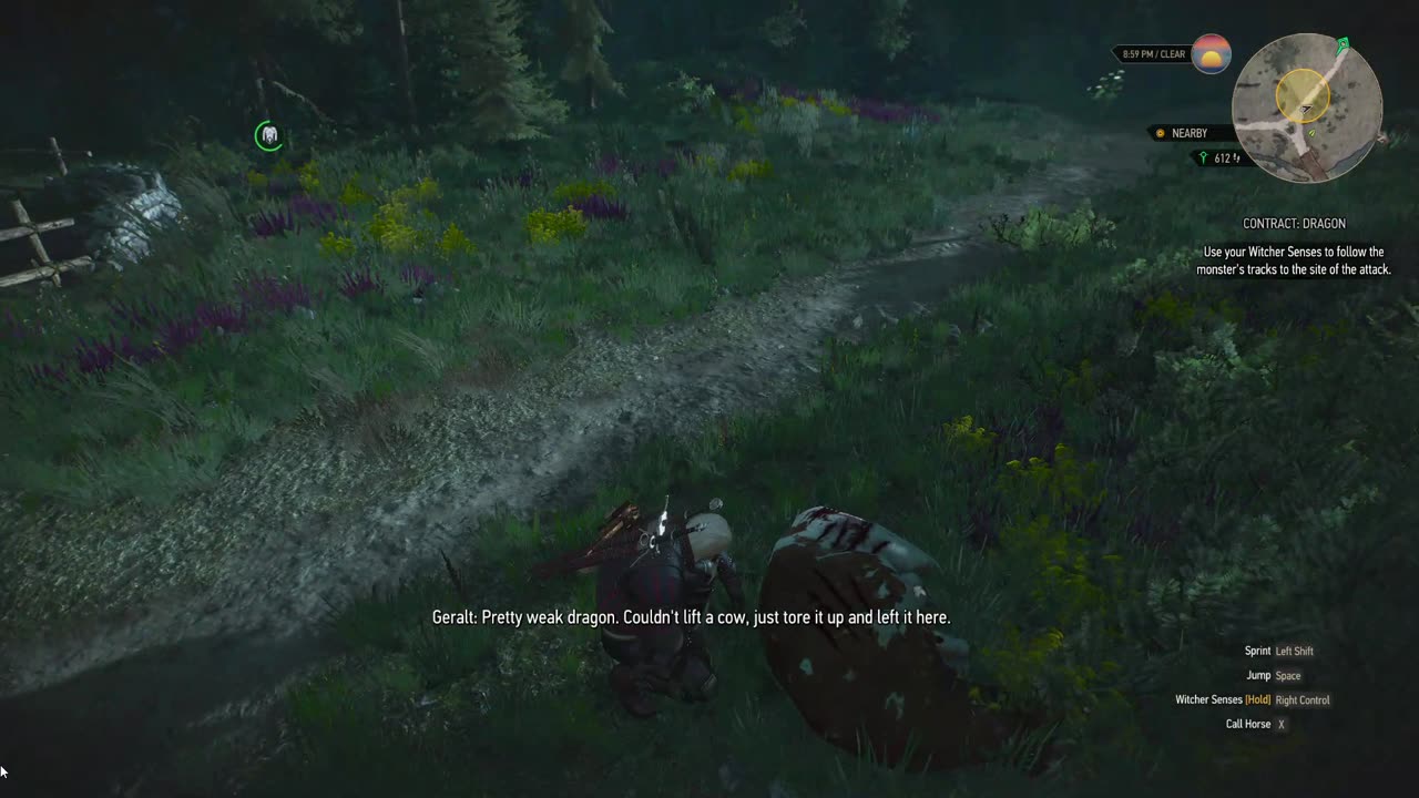 The Witcher 3 contract dragon part 1