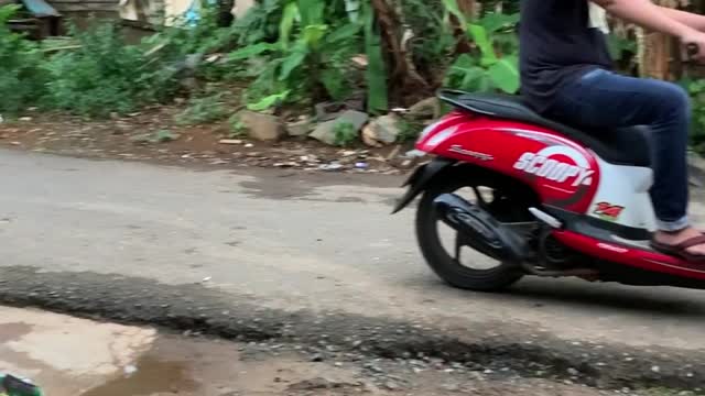 Smart Cat Rides with Man on Scooter