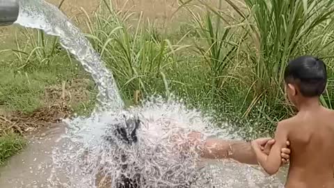 Enjoy with children