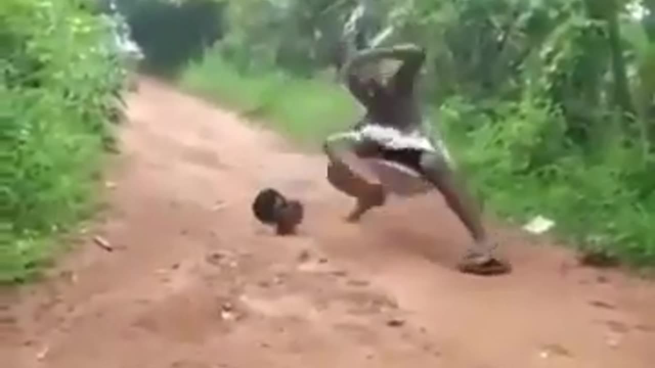 Funny video || Animals 😄