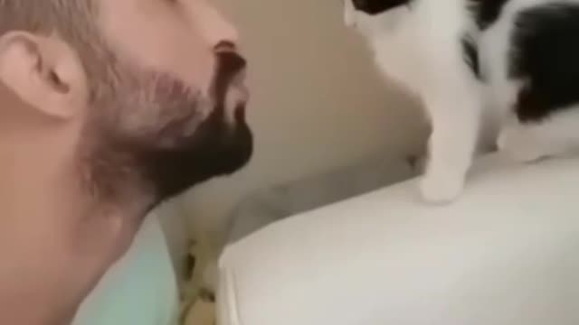 cats kissing with man