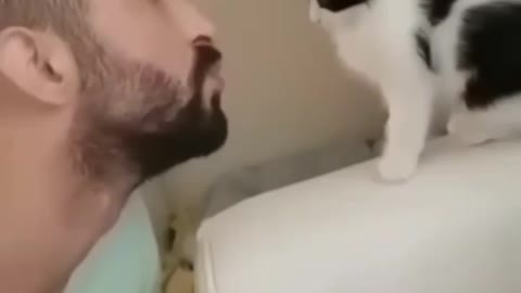 cats kissing with man