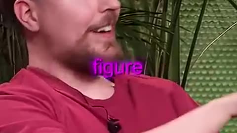Mr beast ner video