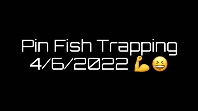 Pin Fish Trapping 2022 Florida