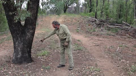 Setting Traps for Wild Dog Management!