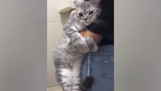 Cat Don't Want To Shower Sticks To Hand