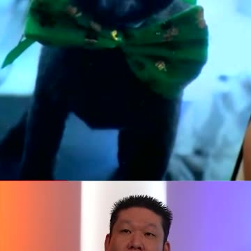 Lady Gets Mauled By A Bear Trying To Save Her Dog