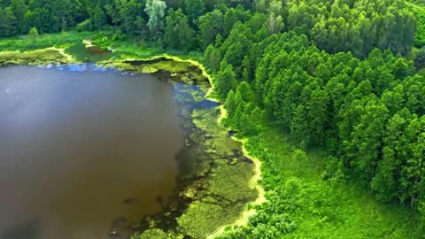 Natural scenery