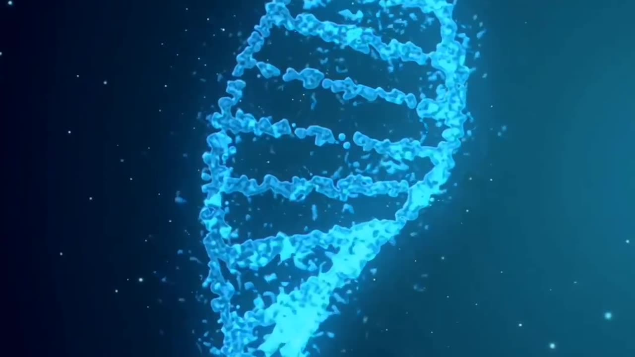 DNA nucleus